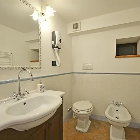 Anita كورتونا